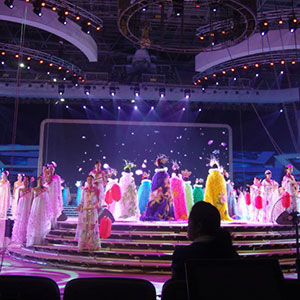 第9屆金星藝術節(jié)