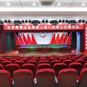 鄭州市磴槽企業(yè)集團(tuán)多功能廳